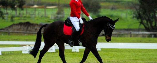 GO FOR 2&5 STATE DRESSAGE CHAMPIONSHIPS 2017