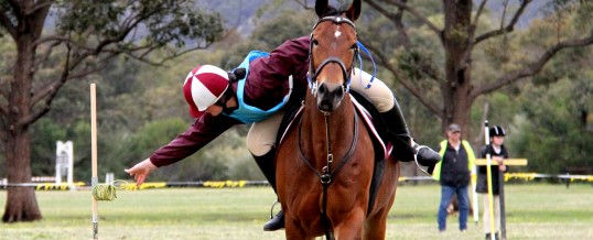 Go for 2&5 ACTIVE RIDING QUALIFIER