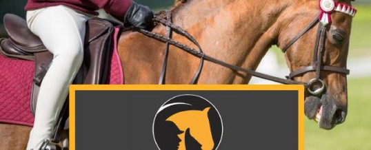 Annual Report 2017