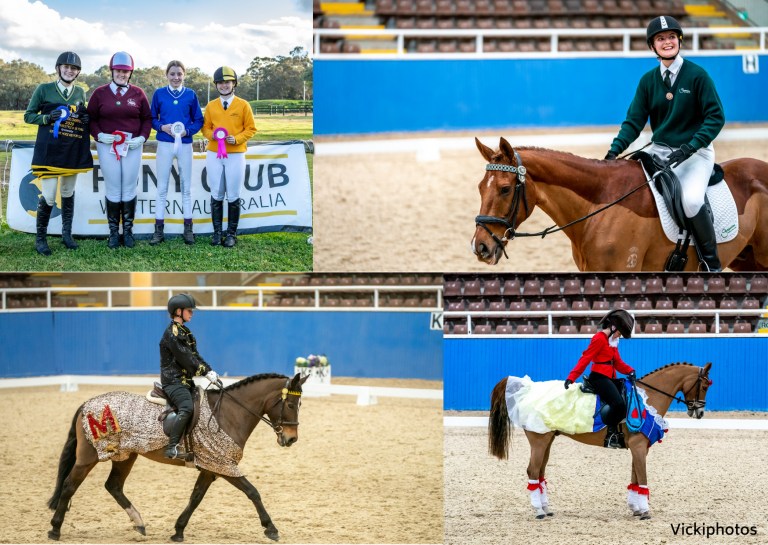 State Dressage Champs Recap! Pony Club Western Australia